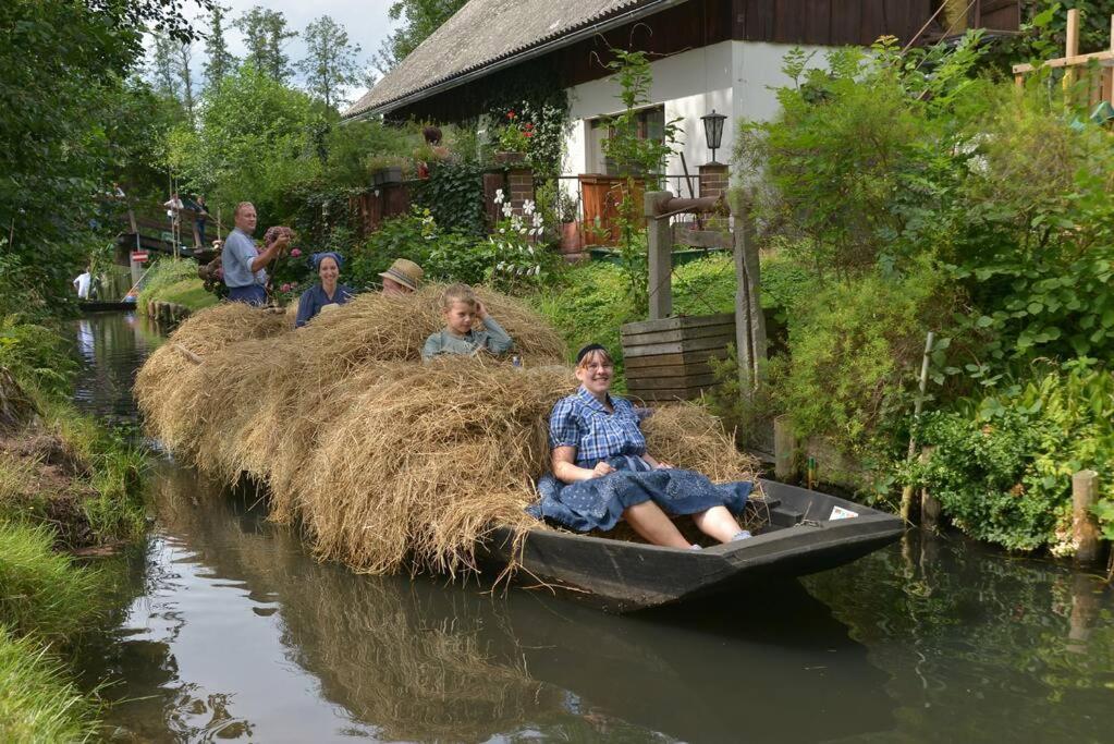 Ferienwohnung Nachtigall Burg  Exteriör bild